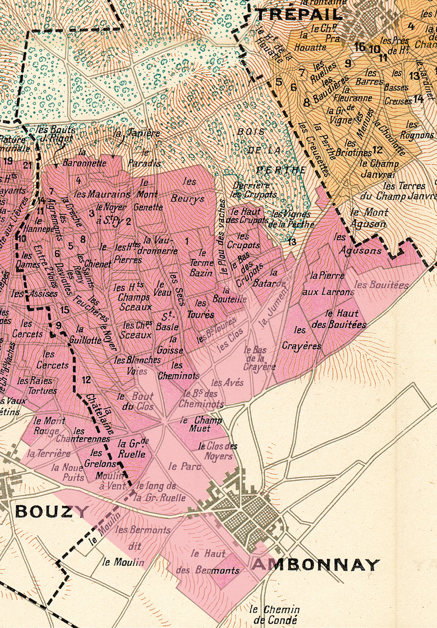 Rodez-carte-terroir-ambonnay